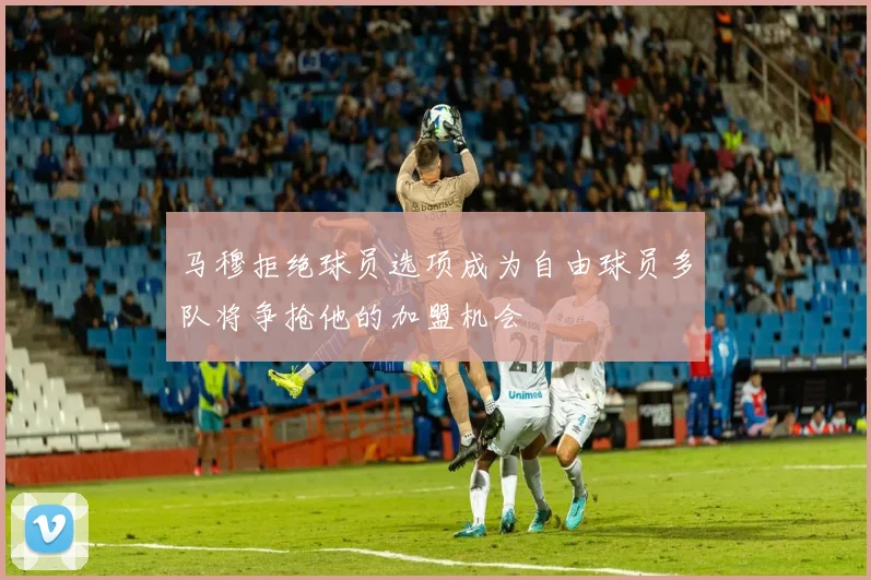 马穆拒绝球员选项成为自由球员多队将争抢他的加盟机会