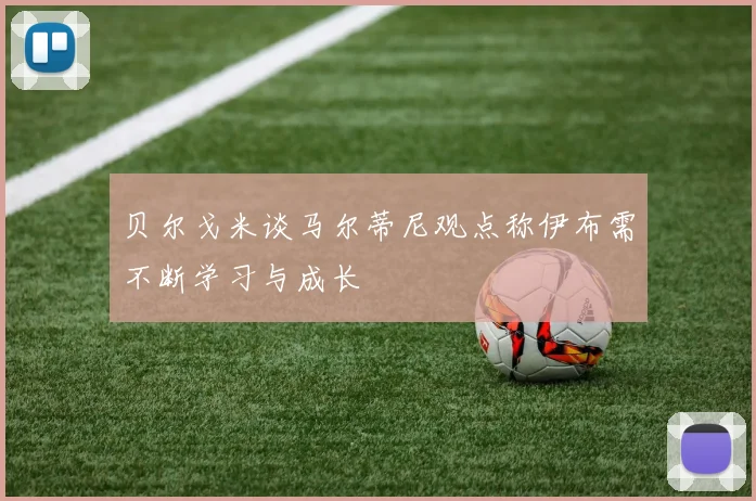 贝尔戈米谈马尔蒂尼观点称伊布需不断学习与成长