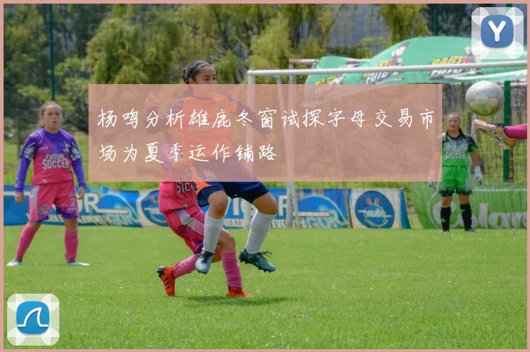杨鸣分析雄鹿冬窗试探字母交易市场为夏季运作铺路